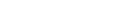 ECOVIS